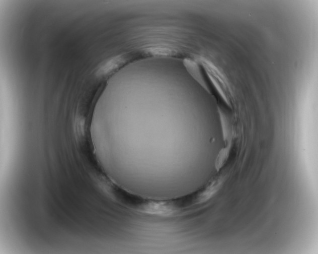X0000086020117200704091121