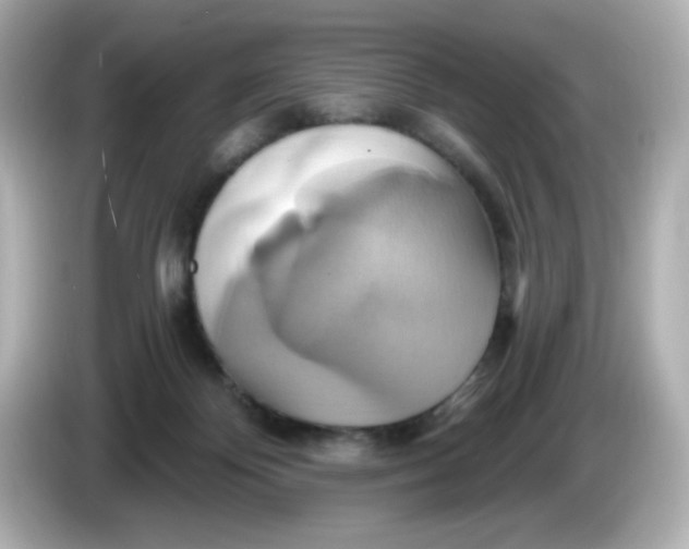 X0000086020124200704091121