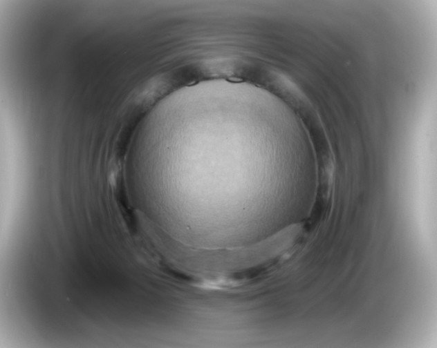 X0000086020125200704091121