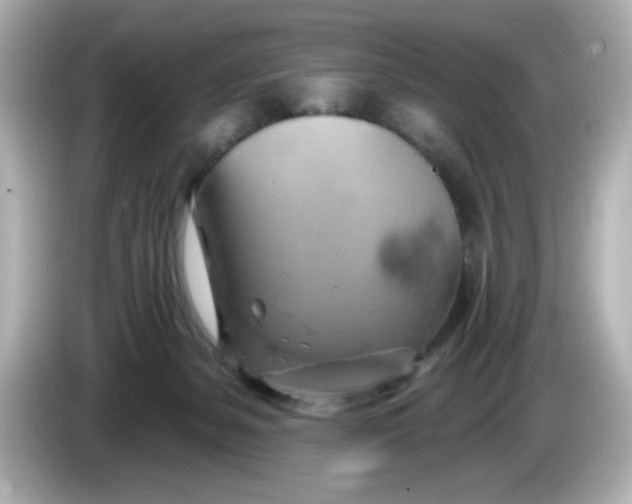 X0000086020127200704091121