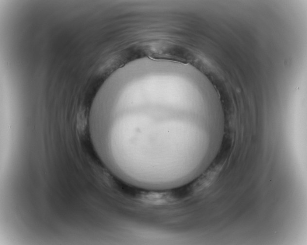 X0000086020129200704091120