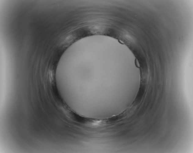 X0000086020130200704091120