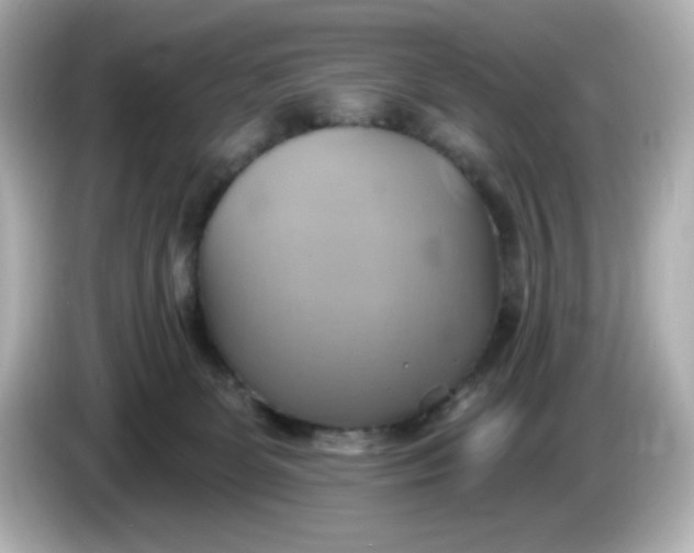 X0000086020131200704091120