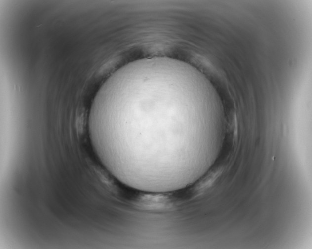 X0000086020133200704091120