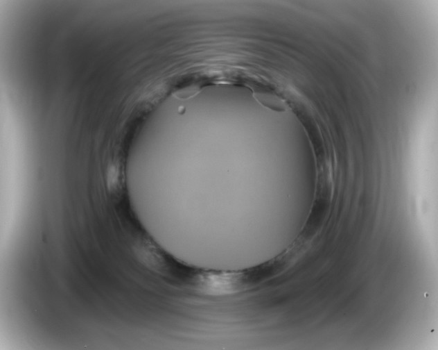 X0000086020134200704091120