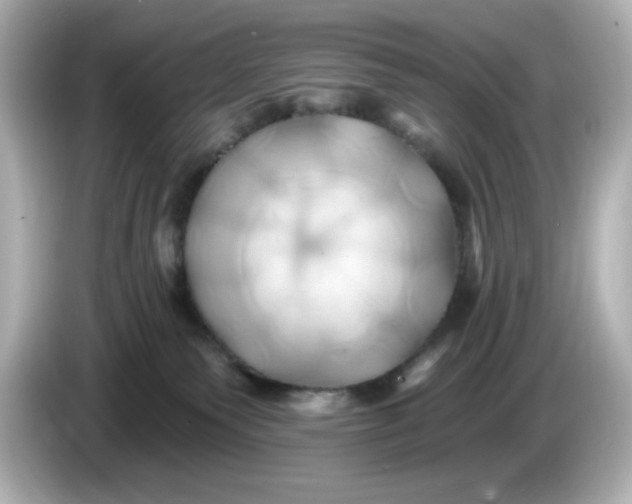 X0000086020135200704091120