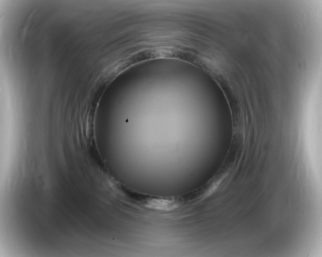 X0000086020139200704091120