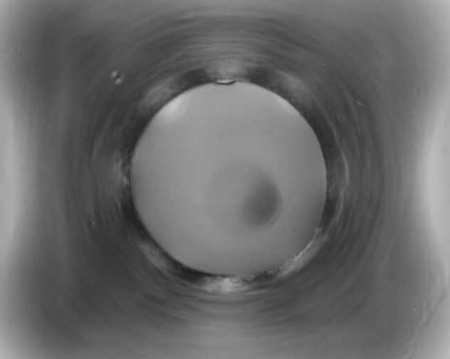 X0000086020140200704091120