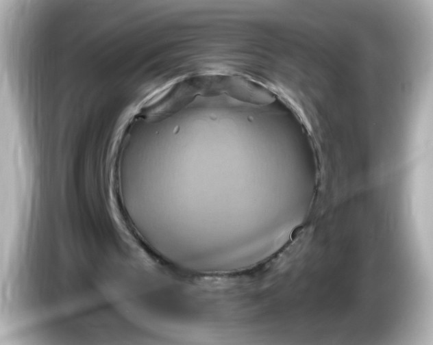 X0000086020145200704091120