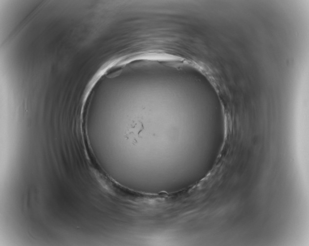 X0000086020147200704091120