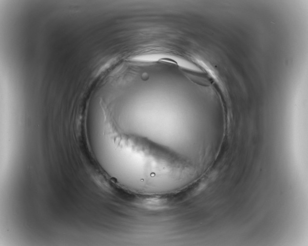 X0000086020153200704091120