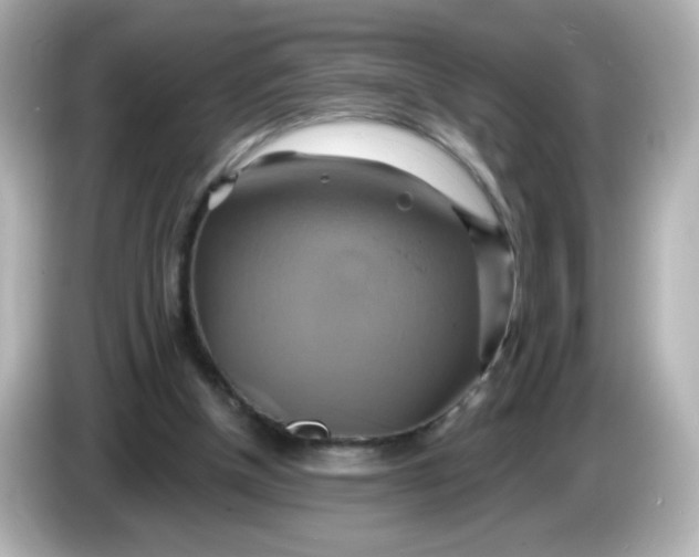 X0000086020154200704091120