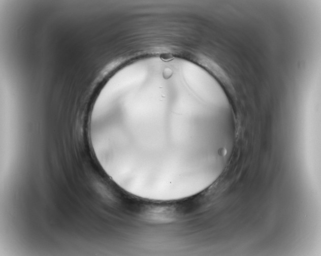 X0000086020155200704091120