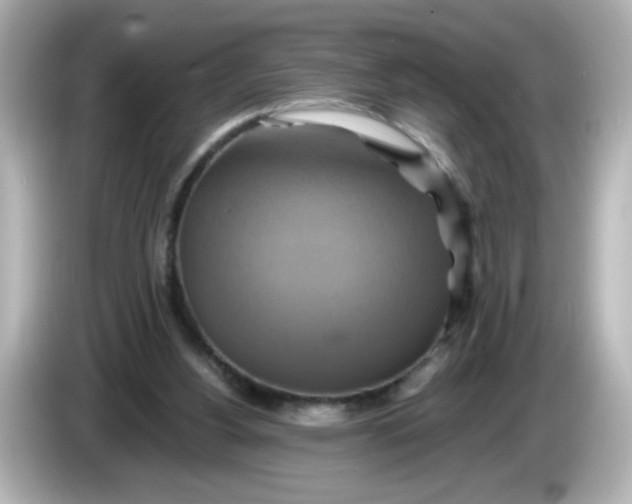 X0000086020156200704091120