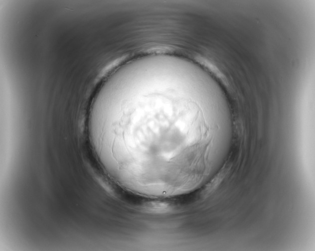 X0000086020159200704091120