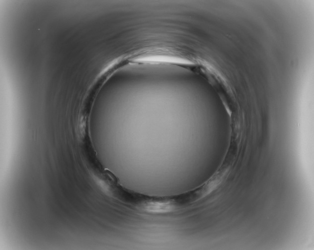 X0000086020160200704091120