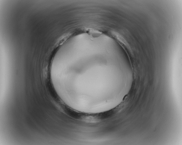 X0000086020163200704091120