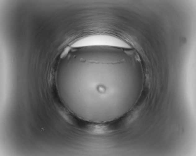 X0000086020165200704091120
