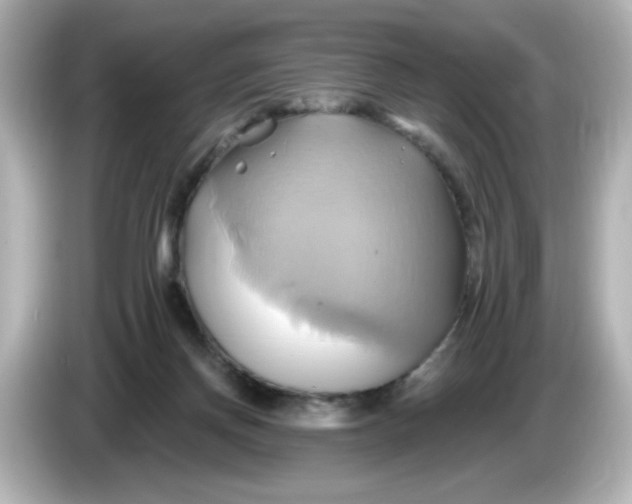 X0000086020166200704091120