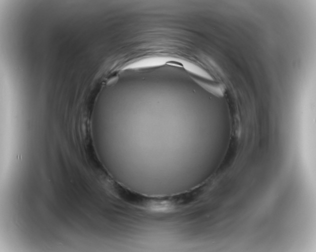 X0000086020169200704091120