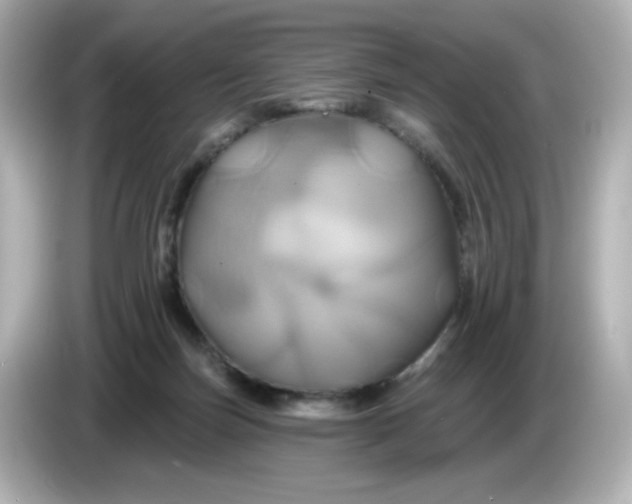 X0000086020171200704091120