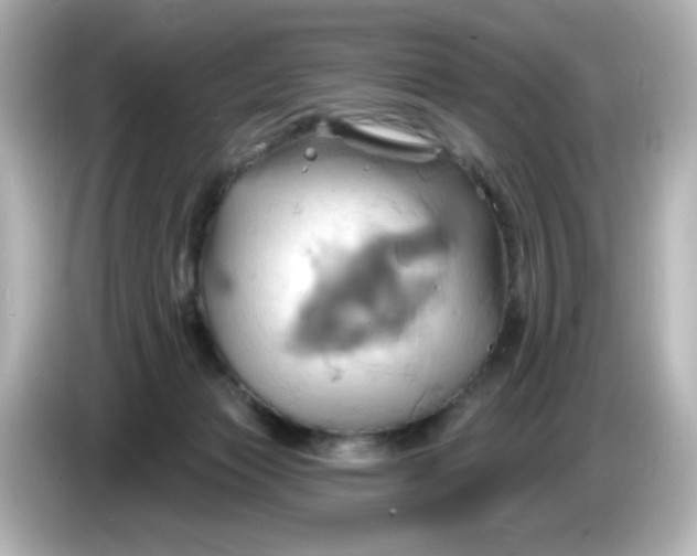 X0000086020173200704091120