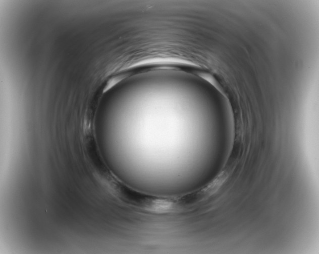 X0000086020176200704091120