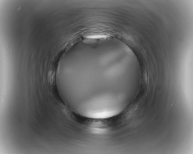 X0000086020177200704091120