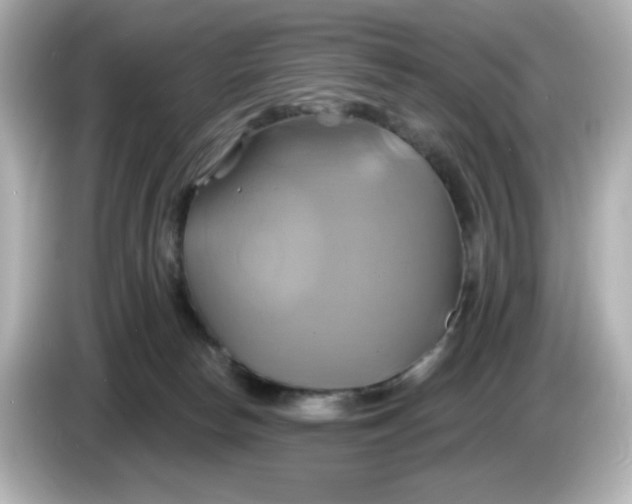 X0000086020178200704091120