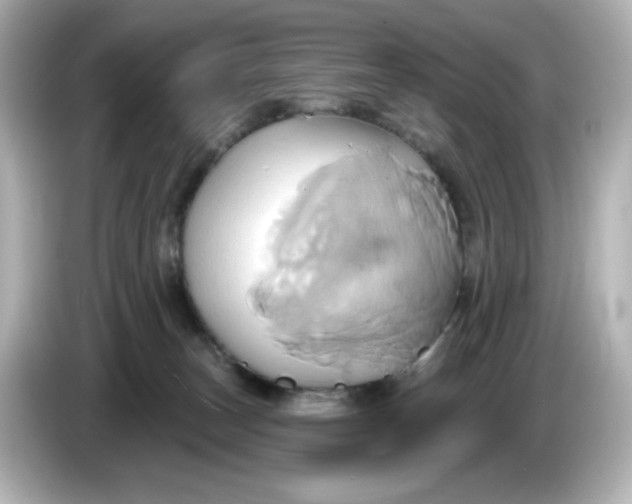 X0000086020179200704091120