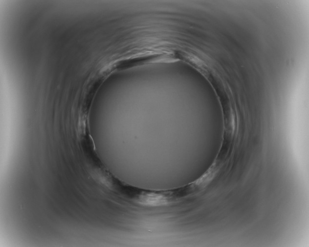 X0000086020180200704091120