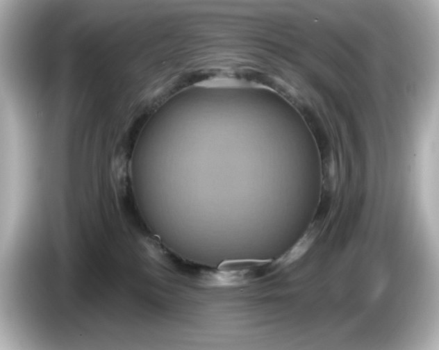 X0000086020184200704091120