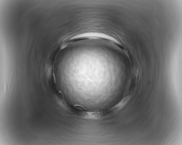 X0000086020188200704091120