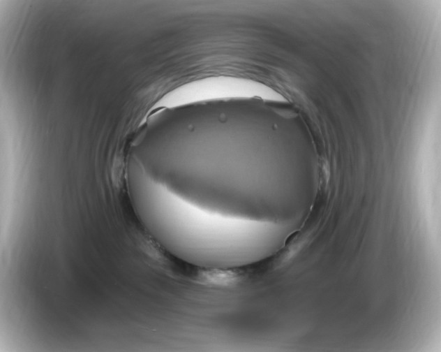 X0000086020189200704091120