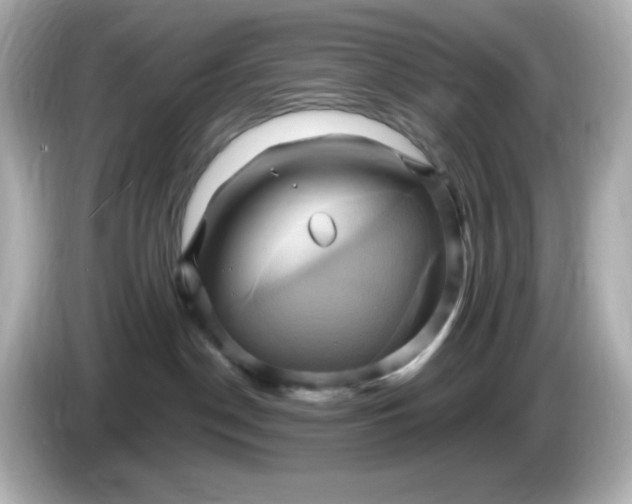X0000086020190200704091120