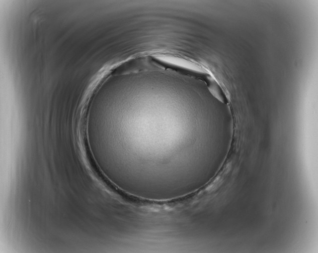X0000086020193200704091120