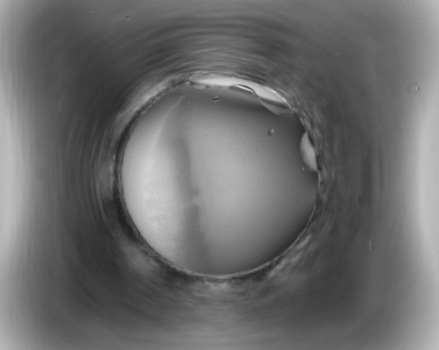 X0000086020194200704091120