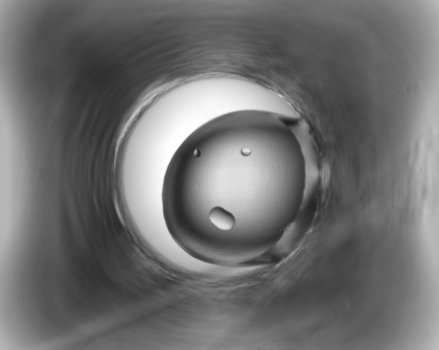 X0000086020195200704091120