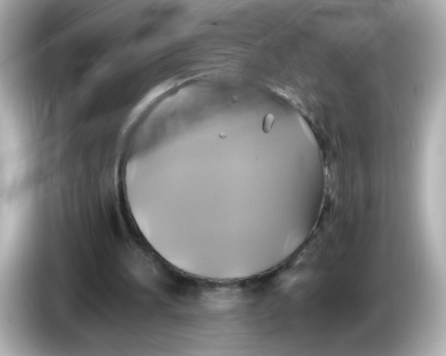 X0000086020196200704091120