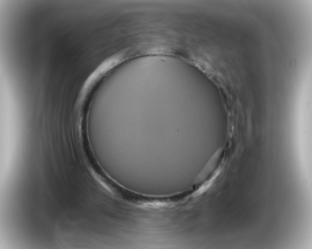X0000086020197200704091120