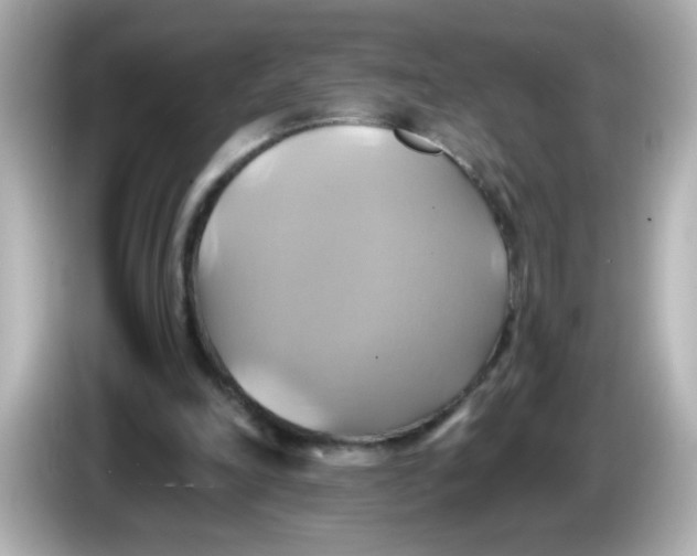 X0000086020198200704091120