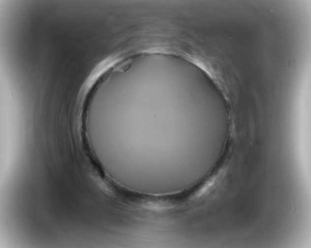 X0000086020199200704091120