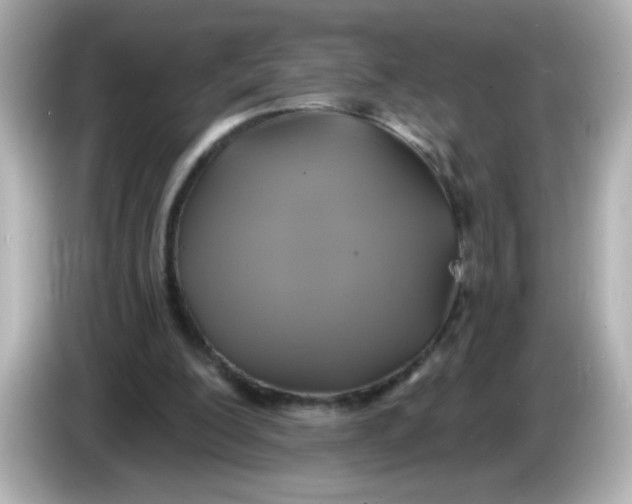 X0000086020200200704091120