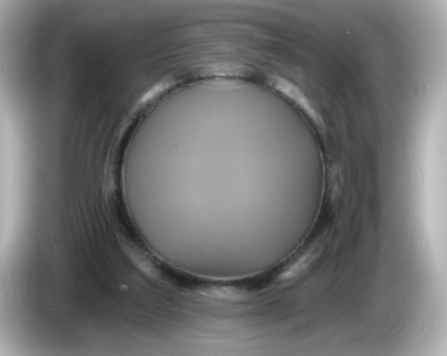 X0000086020203200704091120