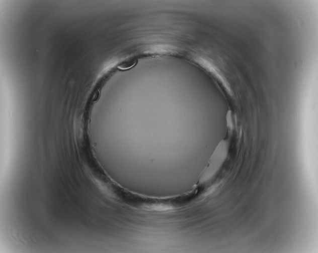 X0000086020204200704091119