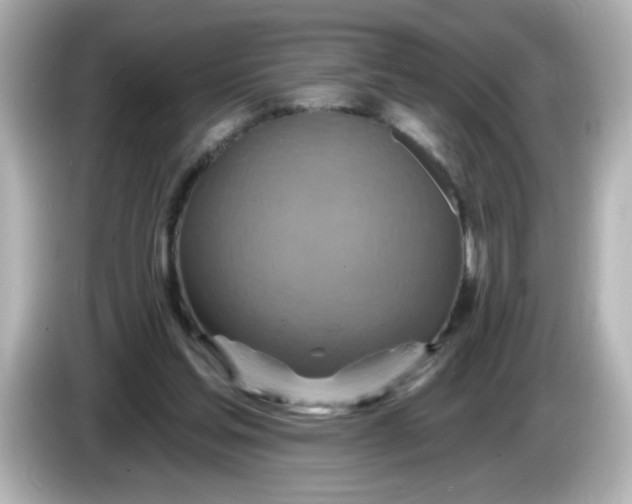X0000086020205200704091119