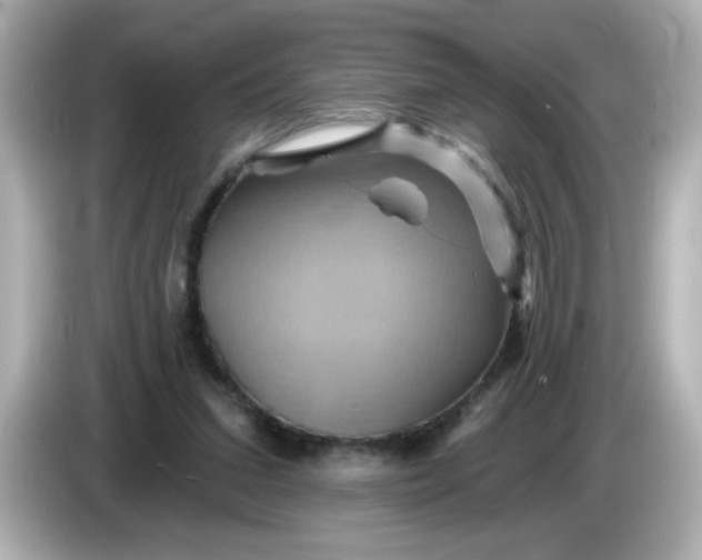 X0000086020207200704091119
