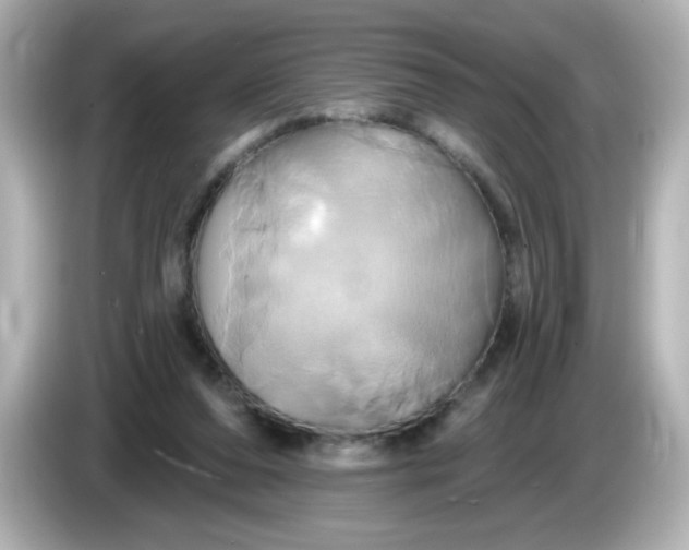 X0000086020208200704091119