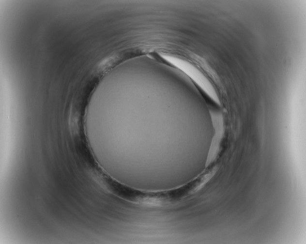 X0000086020209200704091119