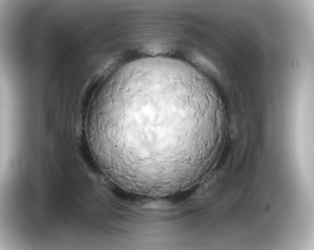 X0000086020210200704091119